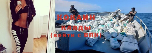 молекула духа Михайлов