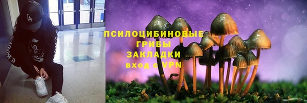 молекула духа Михайлов