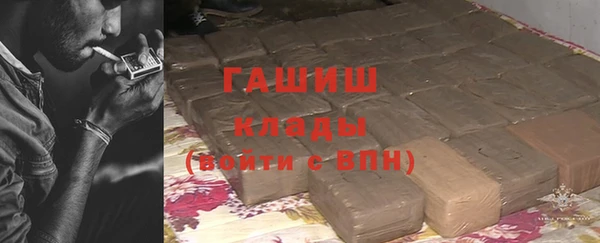 молекула духа Михайлов