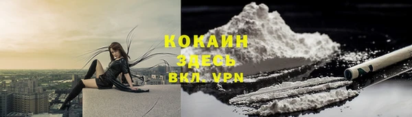 ПСИЛОЦИБИНОВЫЕ ГРИБЫ Медногорск