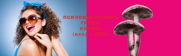 гидропоника Михайловск