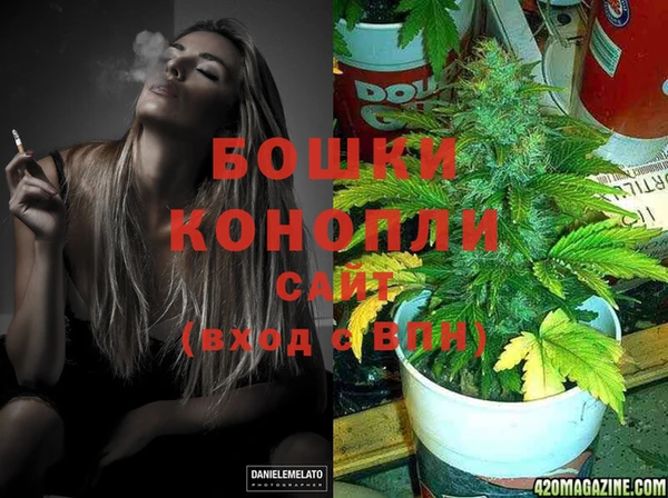 молекула духа Михайлов