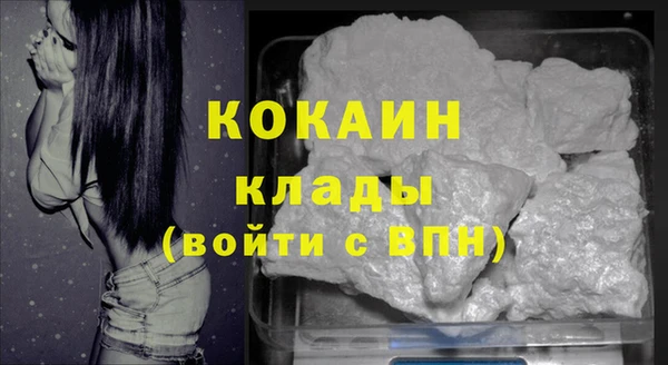 молекула духа Михайлов