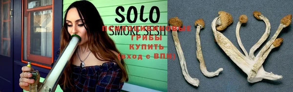 молекула духа Михайлов