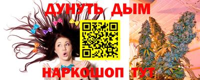 гашик Аргун