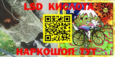гашик Аргун