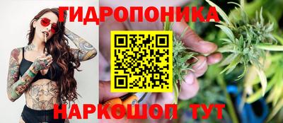 гашик Аргун