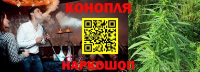 гашик Аргун
