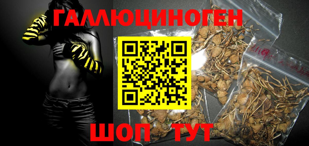 Галлюциногенные грибы MAGIC MUSHROOMS  Вход с VPN  Псилоцибиновые грибы Magic Shrooms  Белгород 