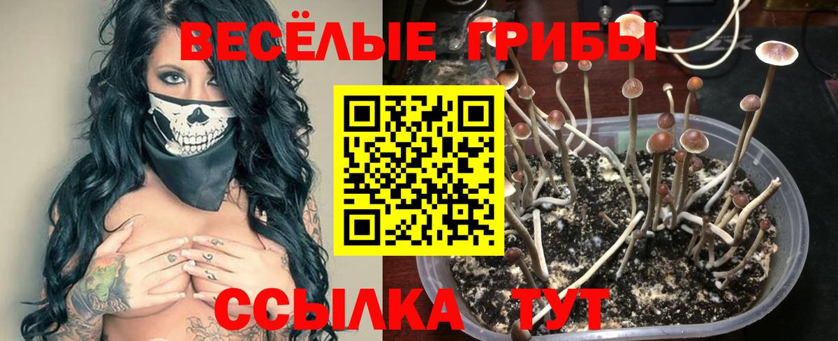 Галлюциногенные грибы мухоморы Белгород