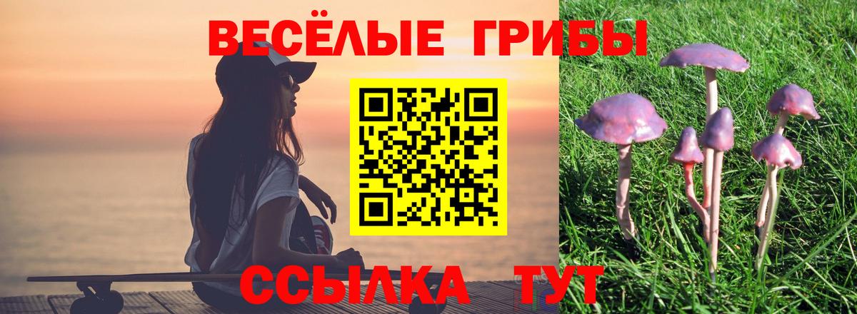 Галлюциногенные грибы мухоморы Белгород